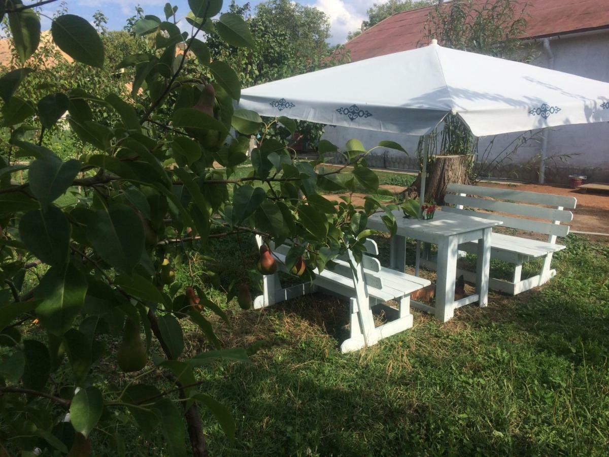 Eco House Summer Garden Kaji-Say Екстериор снимка