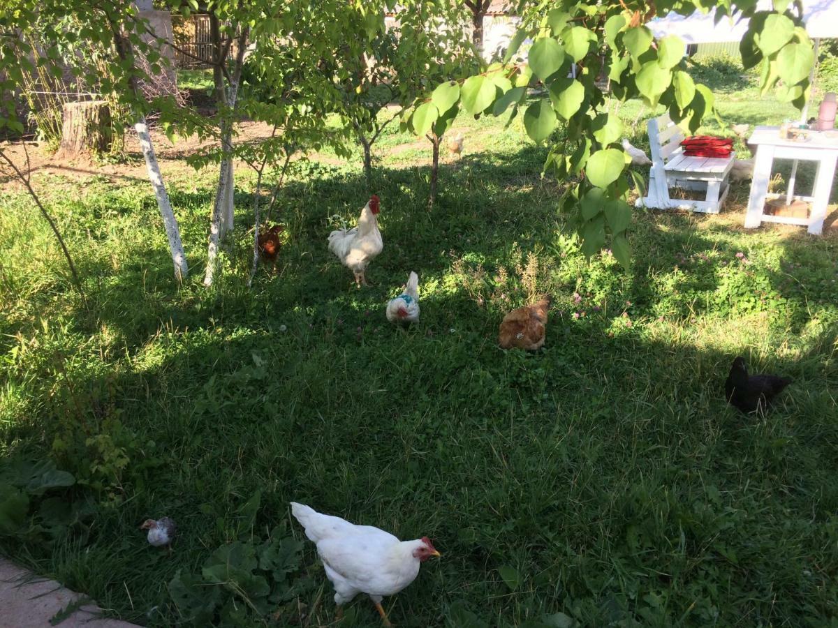 Eco House Summer Garden Kaji-Say Екстериор снимка